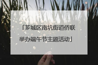 芗城区南坑街道侨联举办端午节主题活动