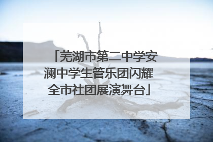 芜湖市第二中学安澜中学生管乐团闪耀全市社团展演舞台