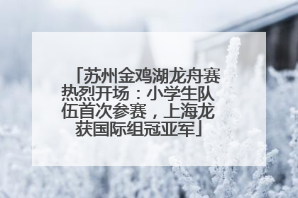 苏州金鸡湖龙舟赛热烈开场：小学生队伍首次参赛，上海龙获国际组冠亚军