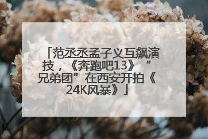 范丞丞孟子义互飙演技，《奔跑吧13》“兄弟团”在西安开拍《24K风暴》