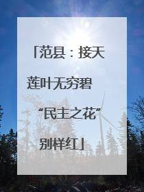 范县：接天莲叶无穷碧 “民主之花”别样红