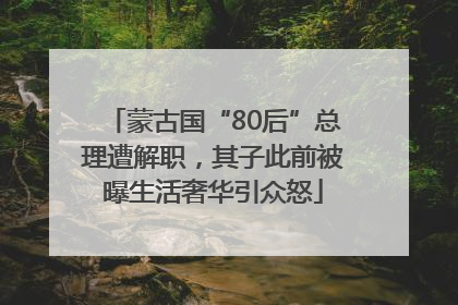 蒙古国“80后”总理遭解职，其子此前被曝生活奢华引众怒
