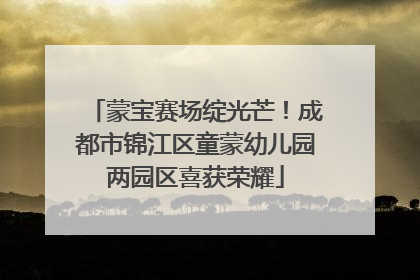 蒙宝赛场绽光芒！成都市锦江区童蒙幼儿园两园区喜获荣耀