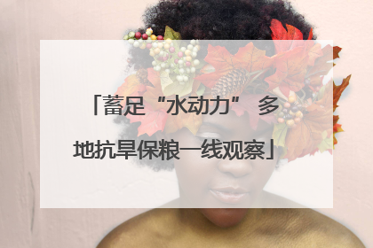 蓄足“水动力” 多地抗旱保粮一线观察