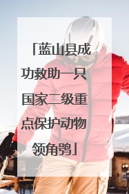 蓝山县成功救助一只国家二级重点保护动物领角鸮