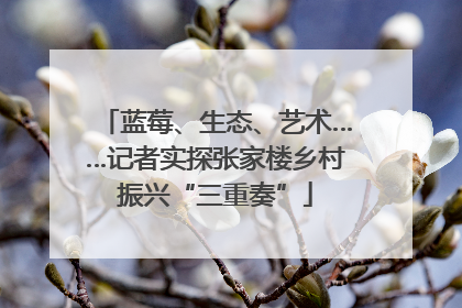 蓝莓、生态、艺术……记者实探张家楼乡村振兴“三重奏”
