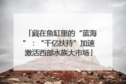 藏在鱼缸里的“蓝海”：“千亿扶持”加速激活西部水族大市场