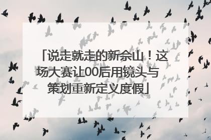 说走就走的新佘山！这场大赛让00后用镜头与策划重新定义度假