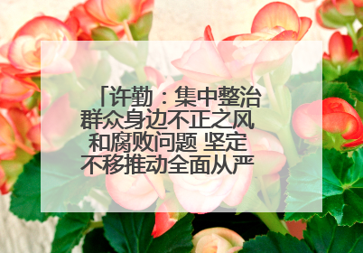 许勤：集中整治群众身边不正之风和腐败问题 坚定不移推动全面从严治党向基层延伸