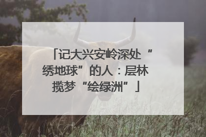 记大兴安岭深处“绣地球”的人：层林揽梦“绘绿洲”
