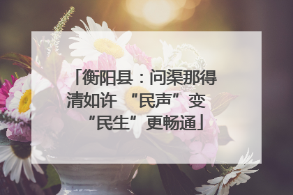 衡阳县：问渠那得清如许 “民声”变“民生”更畅通