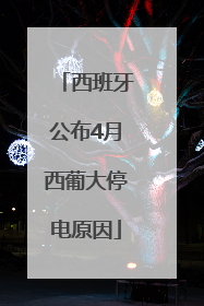 西班牙公布4月西葡大停电原因