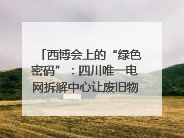 西博会上的“绿色密码”：四川唯一电网拆解中心让废旧物资“重生”｜西博寻“新”记