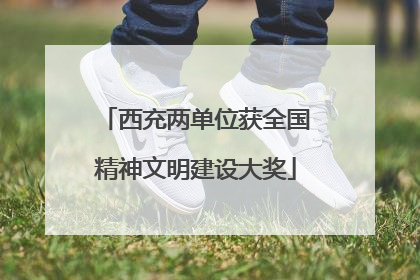 西充两单位获全国精神文明建设大奖