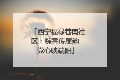 西宁福禄巷南社区：粽香传廉韵 党心映端阳