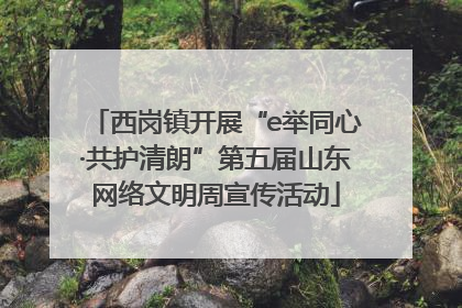 西岗镇开展“e举同心·共护清朗”第五届山东网络文明周宣传活动