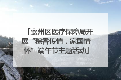 襄州区医疗保障局开展“粽香传情，家国情怀”端午节主题活动