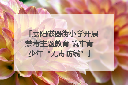 襄阳磁器街小学开展禁毒主题教育 筑牢青少年“无毒防线”