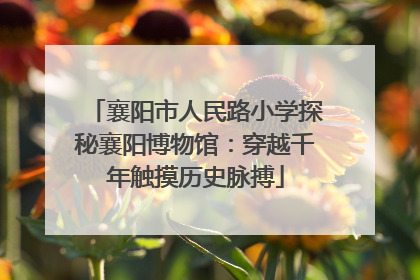 襄阳市人民路小学探秘襄阳博物馆：穿越千年触摸历史脉搏