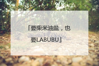 要柴米油盐，也要LABUBU