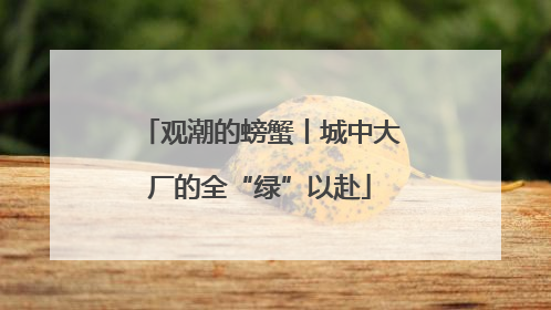 观潮的螃蟹丨城中大厂的全“绿”以赴