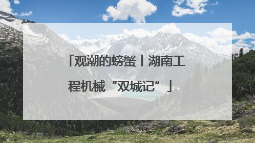 观潮的螃蟹丨湖南工程机械“双城记”