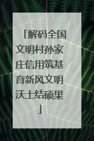 解码全国文明村孙家庄信用筑基育新风文明沃土结硕果