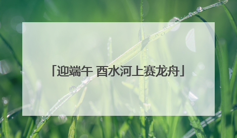 迎端午 酉水河上赛龙舟