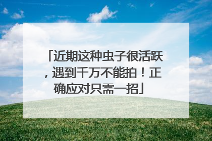 近期这种虫子很活跃，遇到千万不能拍！正确应对只需一招