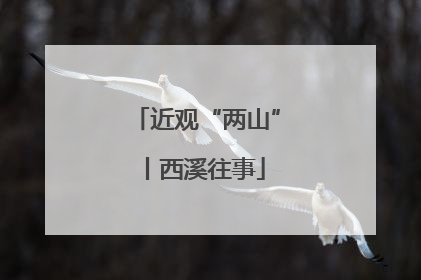 近观“两山”丨西溪往事