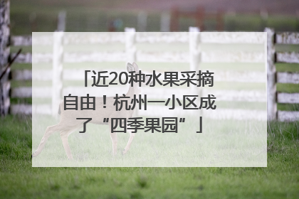 近20种水果采摘自由！杭州一小区成了“四季果园”
