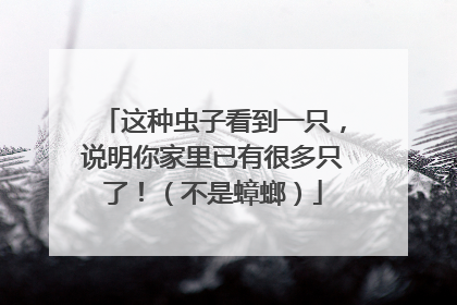 这种虫子看到一只，说明你家里已有很多只了！（不是蟑螂）