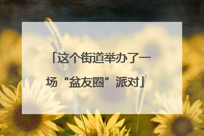 这个街道举办了一场“盆友圈”派对