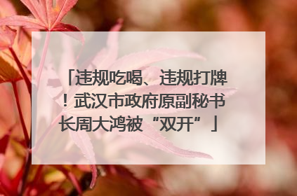 违规吃喝、违规打牌！武汉市政府原副秘书长周大鸿被“双开”