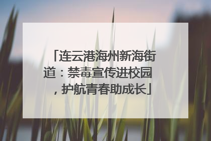 连云港海州新海街道：禁毒宣传进校园，护航青春助成长