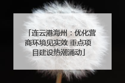 连云港海州：优化营商环境见实效 重点项目建设热潮涌动