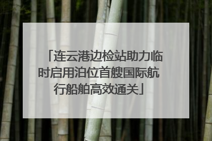 连云港边检站助力临时启用泊位首艘国际航行船舶高效通关
