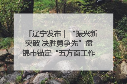 辽宁发布｜“振兴新突破 决胜勇争先”盘锦市锚定“五方面工作”力争全年地区生产总值增长5.5%左右