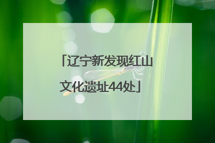 辽宁新发现红山文化遗址44处