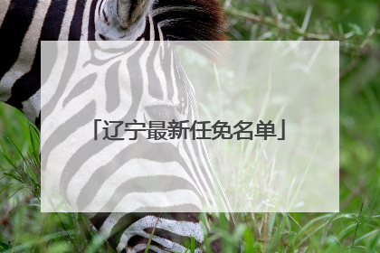 辽宁最新任免名单