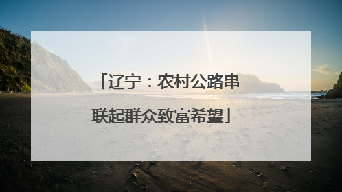 辽宁：农村公路串联起群众致富希望