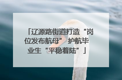 辽源路街道打造“岗位发布航母” 护航毕业生“平稳着陆”