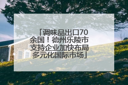 调味品出口70余国！德州乐陵市支持企业加快布局多元化国际市场
