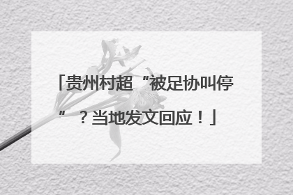 贵州村超“被足协叫停”？当地发文回应！