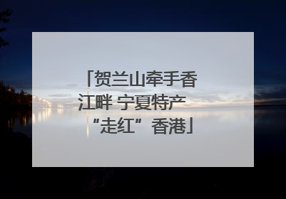 贺兰山牵手香江畔 宁夏特产“走红”香港