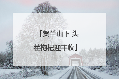 贺兰山下 头茬枸杞迎丰收