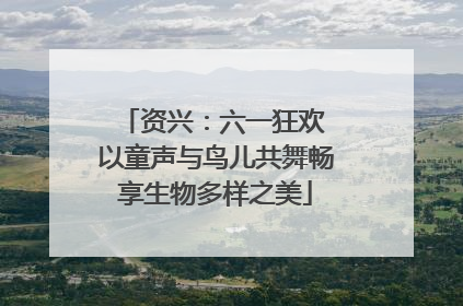 资兴：六一狂欢 以童声与鸟儿共舞畅享生物多样之美