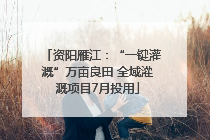 资阳雁江：“一键灌溉”万亩良田 全域灌溉项目7月投用