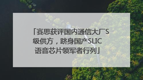 赛思获评国内通信大厂S级供方，跻身国产SLIC语音芯片领军者行列