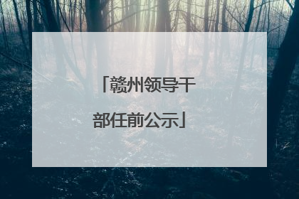 赣州领导干部任前公示